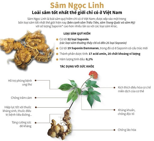 Nước yến sâm Ngọc Linh